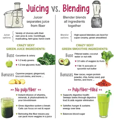 What is the difference between a Juicer and a Blender